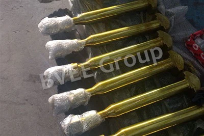 Ansamblu dispozitiv Twistlock